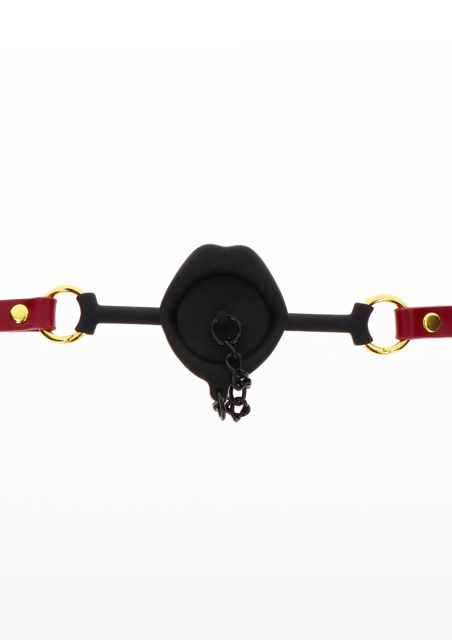 Kinky Gag with Plug - Hot Plaza