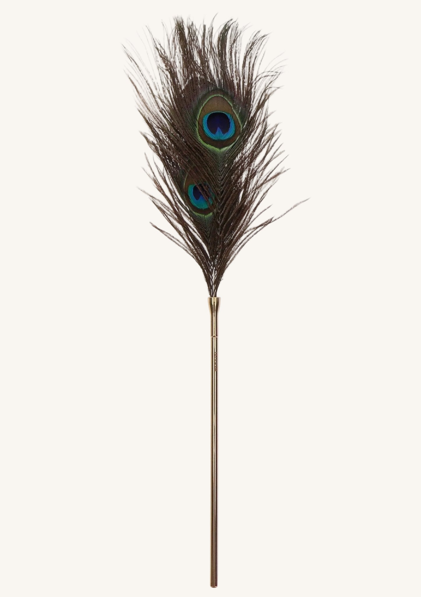 Peacock Tickler - Hot Plaza