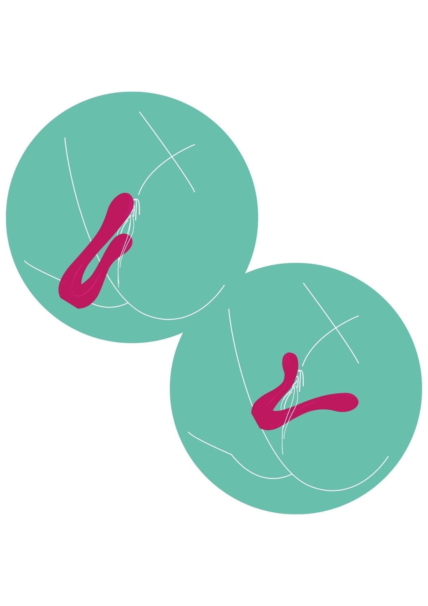 Sync Sensation Vibrator - Hot Plaza