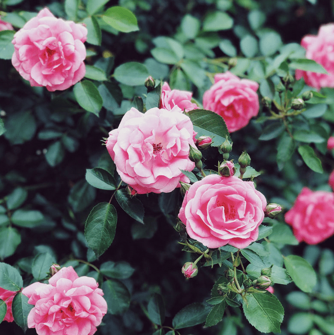 Hoe hou ik de vonk in een langdurige relatie? - Hot Plaza