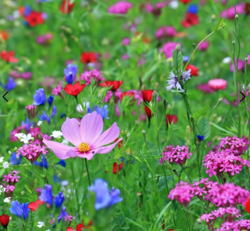 Seks na de zwangerschap: een nieuwe bloei in je relatie - Hot Plaza