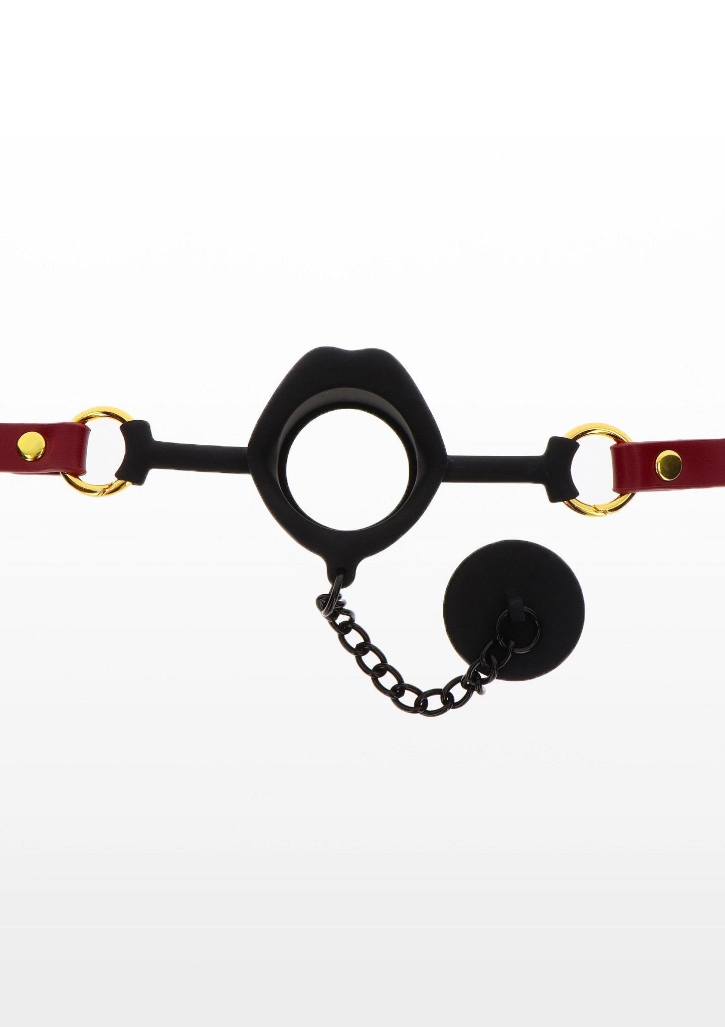 Kinky Gag with Plug - Hot Plaza