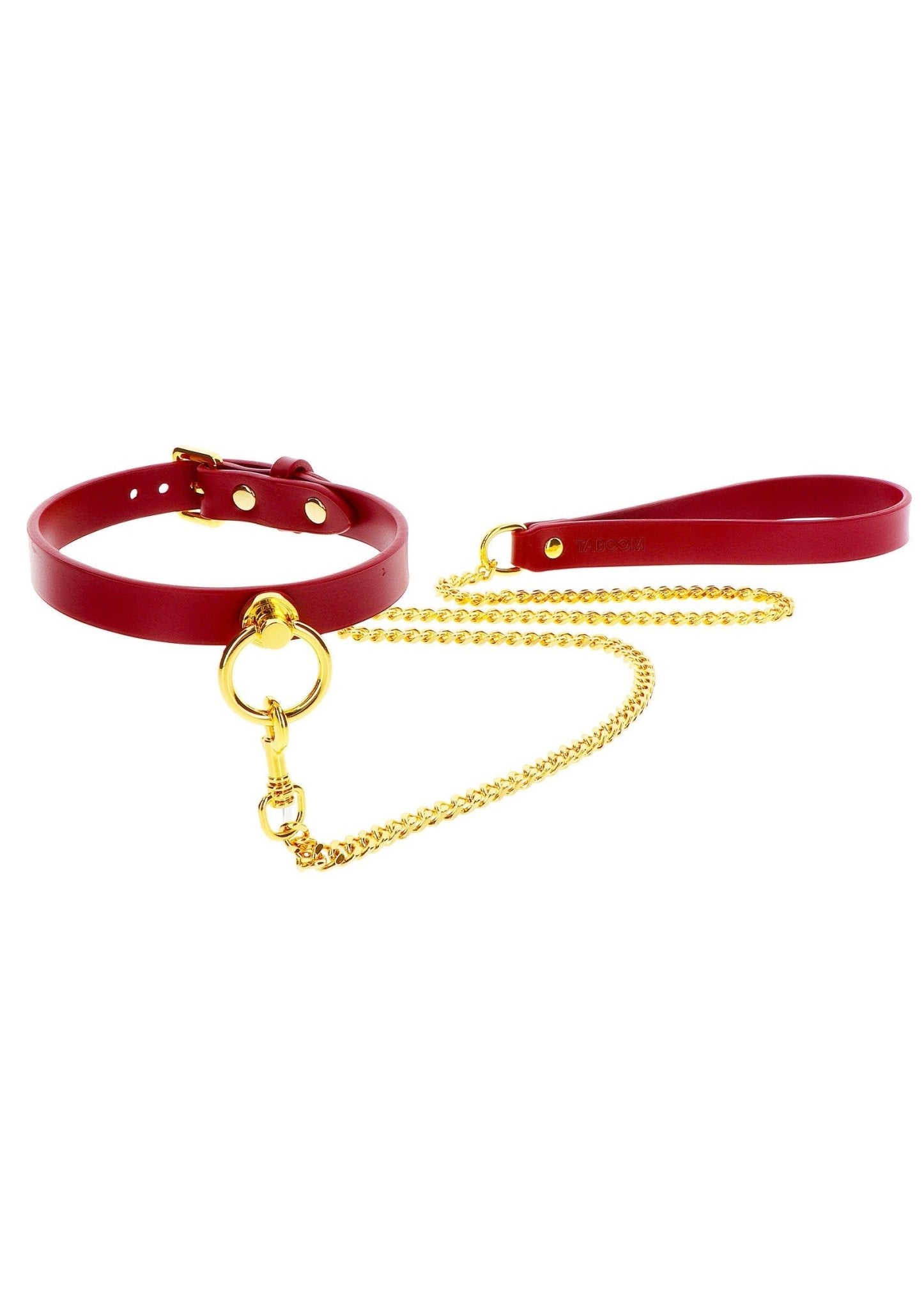 O - Ring Collar and Chain Leash - Hot Plaza
