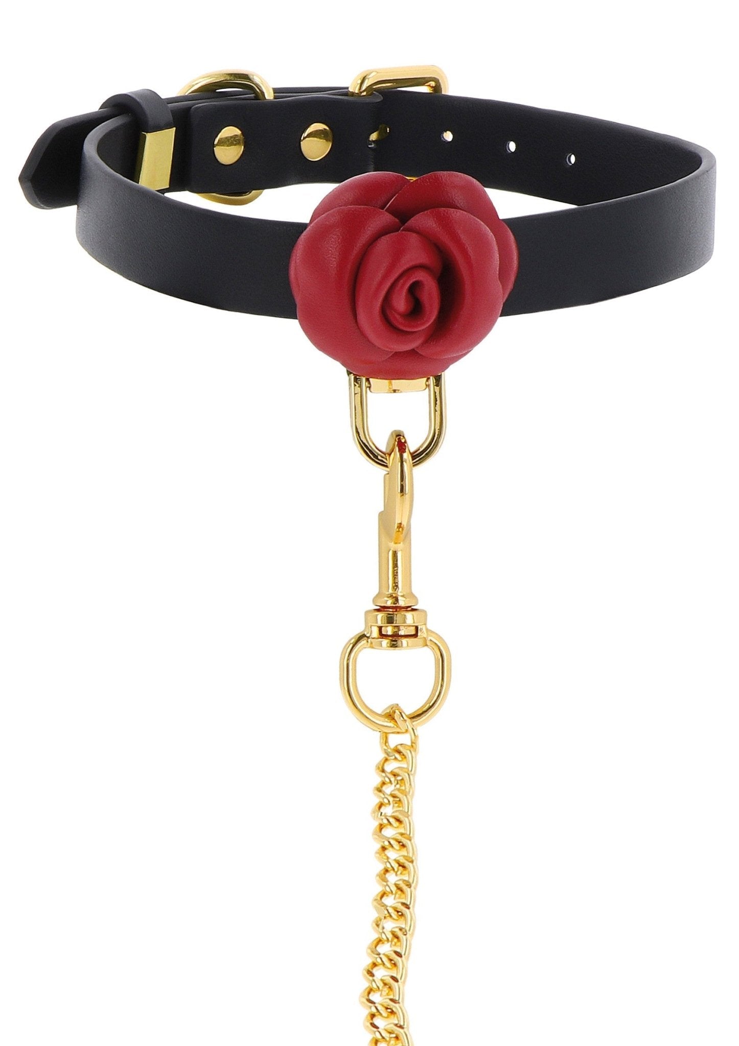 Wild Roses - Halsband en Riem - Hot Plaza